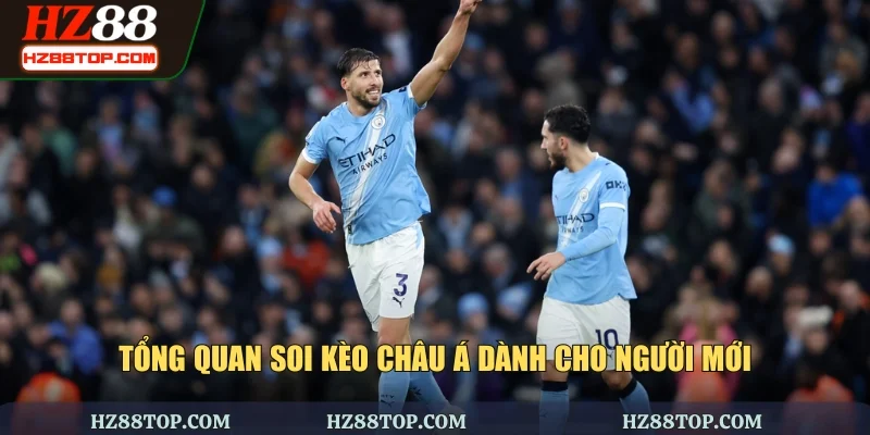 Tổng quan soi kèo châu Á dành cho người mới